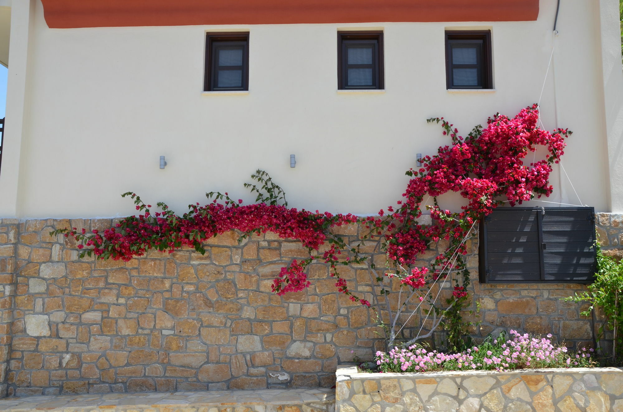 Helianthus Guesthouse Amolianí Exterior foto